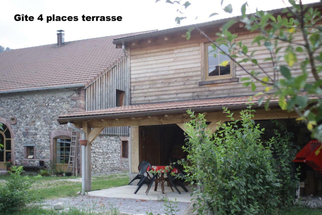 Gites Typiques Au Coeur Des Hautes Vosges Saulxures-sur-Moselotte ภายนอก รูปภาพ