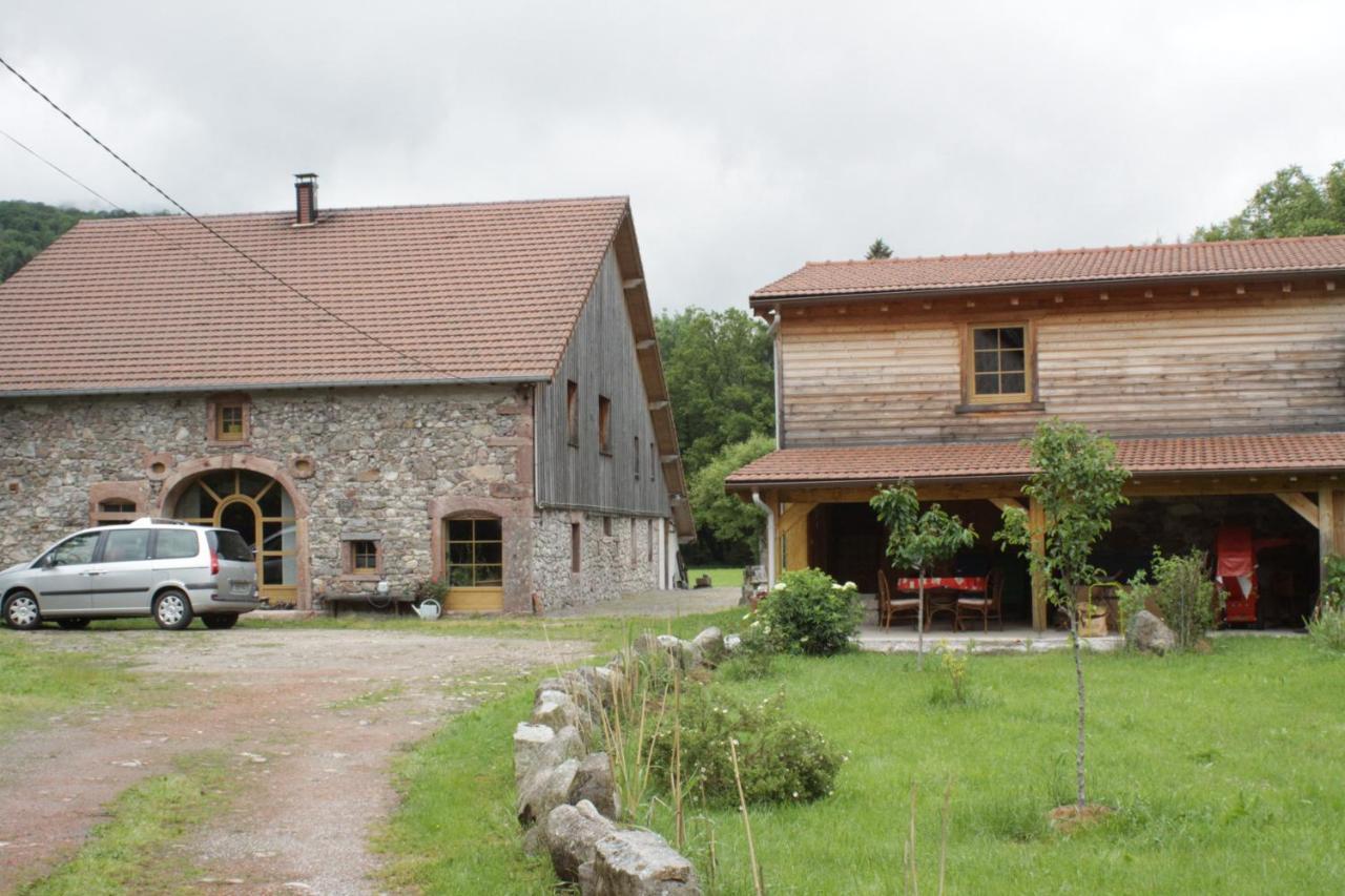 Gites Typiques Au Coeur Des Hautes Vosges Saulxures-sur-Moselotte ภายนอก รูปภาพ